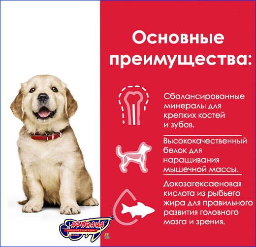 Корм для щенков крупных пород премиум-класса. Hill's Puppy Large Breed Chicken, 14.5 кг.