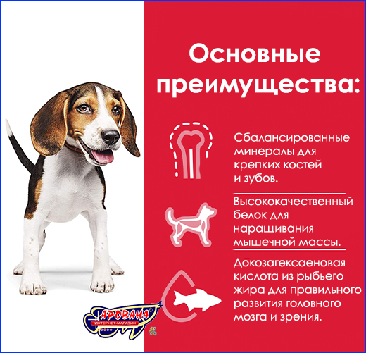 Корм для собаки средней породы. Hill's Puppy Medium Breed Chicken, 14 кг.