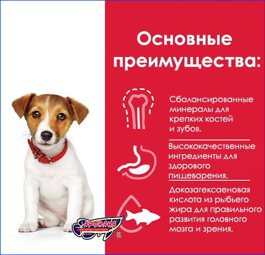 Корм хиллс для щенков мелких пород. Hill's Puppy Small & Miniature Chicken, 1 кг (развес).