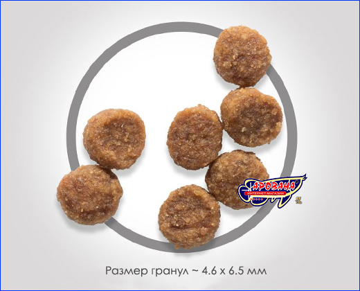 Сухой корм Hill's Puppy Small & Miniature Chicken, 1 кг. Hill's Puppy Small & Miniature Chicken, 1 кг (развес).