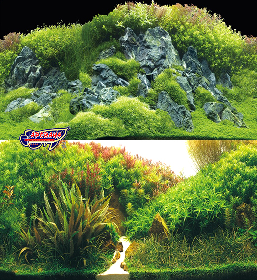  , Hobby, Planted River/Green Rocks, 50100 .