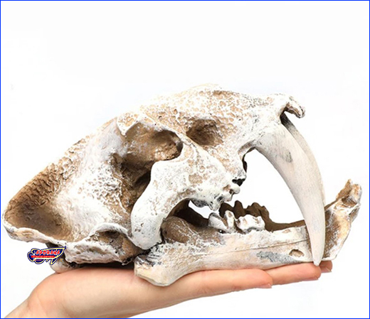    HOBBY, Sabertooth Tiger, 19 .