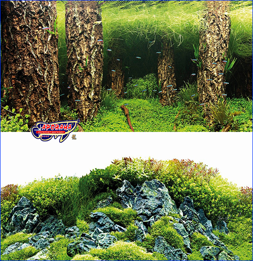   , Hobby, Scaping Hill/Scaping Forest, 50100 .