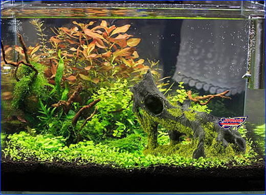 Декор аквариума. Декорация HOBBY, Stump with Moss, 15 см.