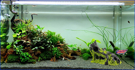 Оформление аквариума. Декорация HOBBY, Stump with Moss, 15 см.