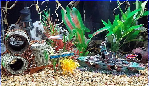    HOBBY, Sunken Ship, 22 .