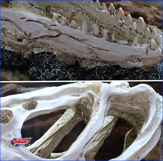 Декор аквариума. Декорация HOBBY, Tyrannosaurus Rex, 14 см.