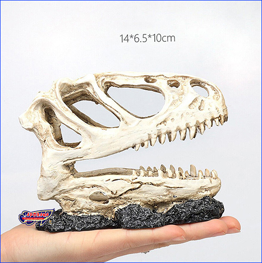 Декорация череп тирекса. Декорация HOBBY, Tyrannosaurus Rex, 14 см.