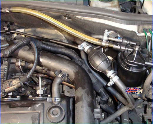   AQUAXER Hose Bulb,  8 .