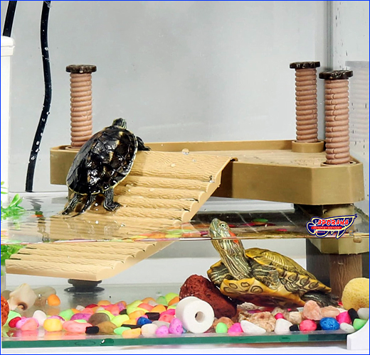   , AQUAXER Island for Turtles Corner.