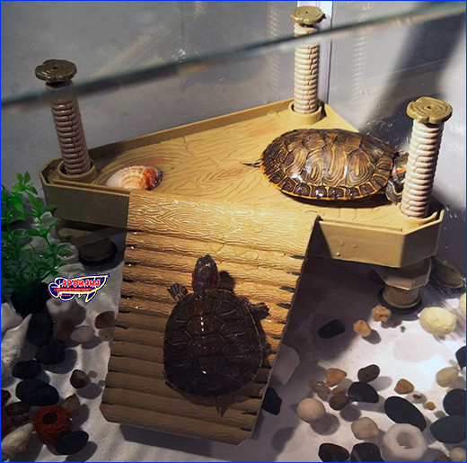   , AQUAXER Island for Turtles Corner.