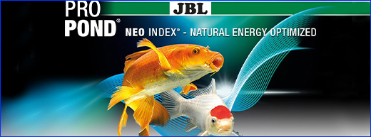  JBL ProPond All Seasnons