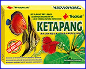 Листья Ketapang (кетапанг),  30 г.