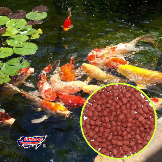    , β 10L.