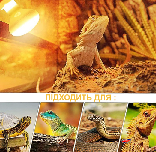Лампа для тераріума. Лампа точкового нагріву, Terrario Bogande, 75W.
