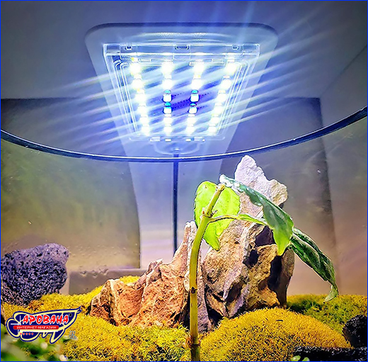 Светильник LED X5 White, подходит для аквариумов с растениями. Светильник LED X5, 10 Вт, White body.