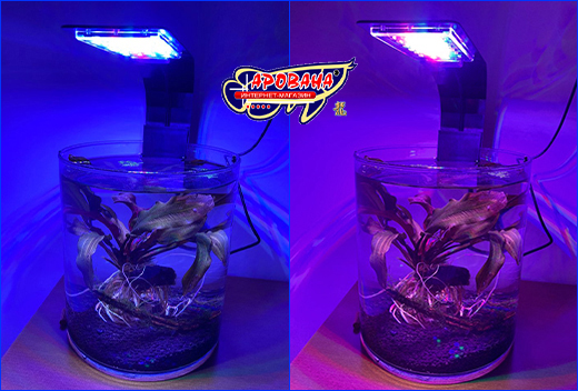 Светильник LED X5 идеально подходит для травников. Светильник LED X5 Plant, 12 Вт.