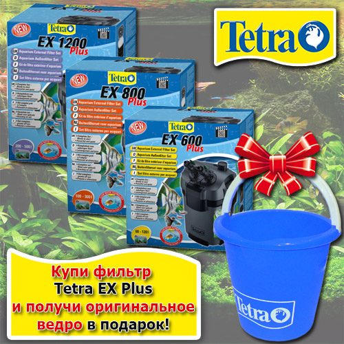 !  Tetra EX Plus +  Tetra  !