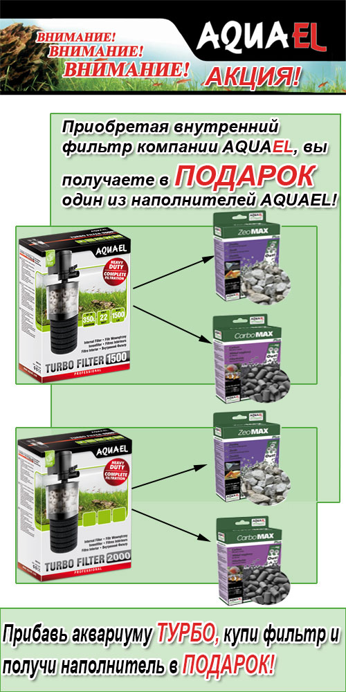 !  Aquael +  Aquael  !