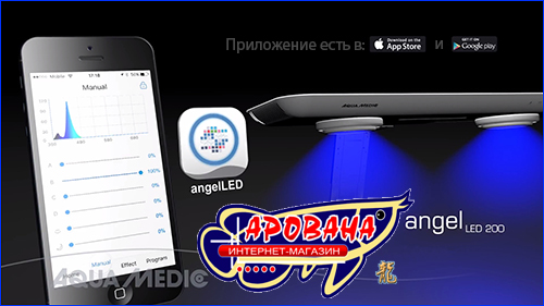   Angel LED 200