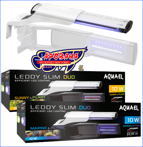 Leddy Slim Duo Leddy Slim Duo