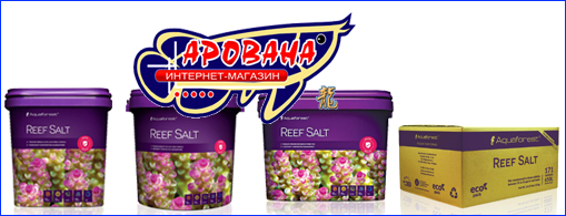 Reef salt Reef salt