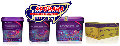 Probiotic reef salt Probiotic reef salt