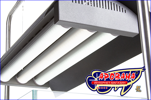AquaSys LED    2G11.