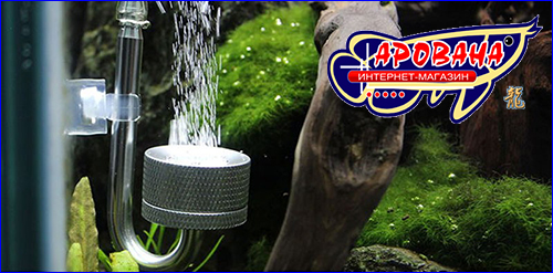 CO2 реактор в аквариуме. CO2 реактор, AQUAXER CO2 Diffuser Aluminium.