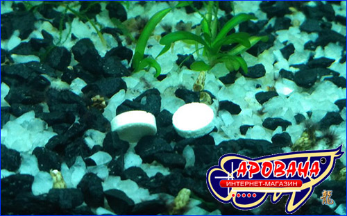 AQUAXER Aquarium Fast Water Tabs 