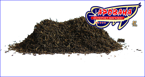 AQUAXER Bloodworm,  , 125 .