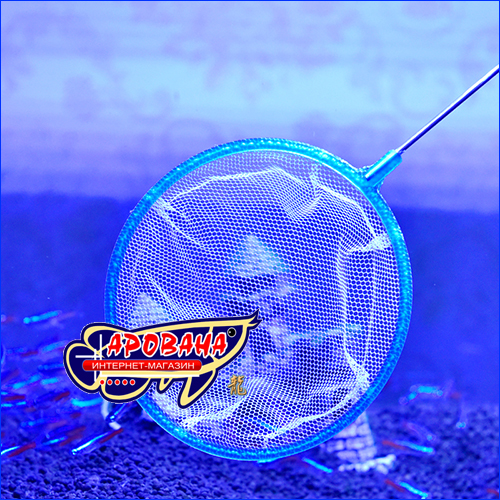  AQUAXER Shrimp L(35 )