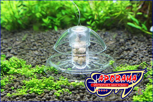   , AQUAXER Trapper Snail 8 .