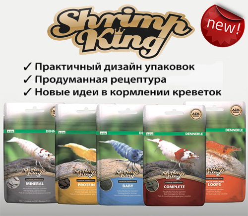      DENNERLE Shrimp King!