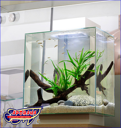 Fluval Edge LED 46 L White