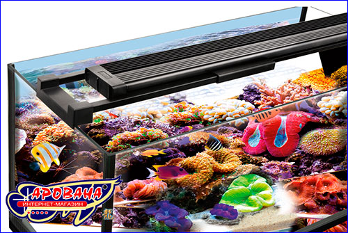 Fluval Sea Marine LED Strip Light, 25  -     .