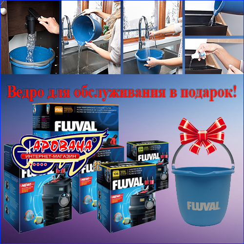 !   Fluval  !