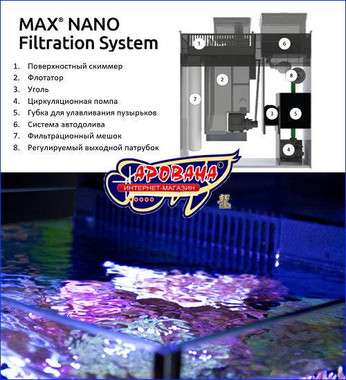 MAX NANO MAX NANO