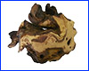 Коряга Trixie, №8981-A2, мопани малая, 16/15 см. Коряга Trixie, №8981-A2, мопани малая, 16/15 см.