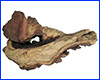 Коряга Trixie, №8982-B5, мопани средняя, 30/15 см. Коряга Trixie, №8982-B5, мопани средняя, 30/15 см.
