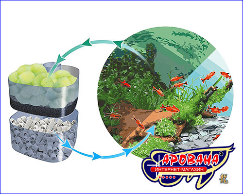 Sera Crystal Clear Professional презентация