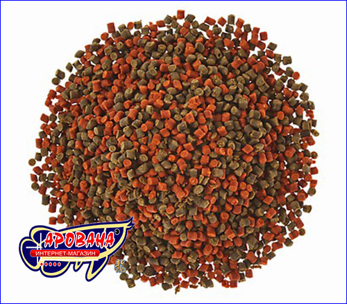  (    )  ,  TetraCichlid Granules 500ml.