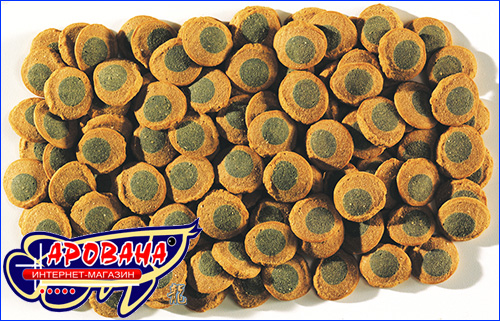 Tetra Pleco Spirulina Wafers