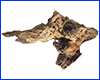 Коряга Trixie, №8982-B5, мопани средняя, 35/18 см. Коряга Trixie, №8982-B5, мопани средняя, 35/18 см.