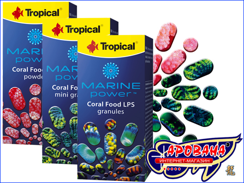 Tropical Marine Power Tropical Marine Power