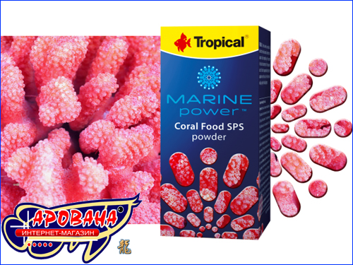Coral Food SPS Coral Food SPS