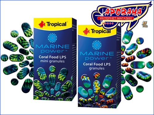 Tropical Marine Power Tropical Marine Power
