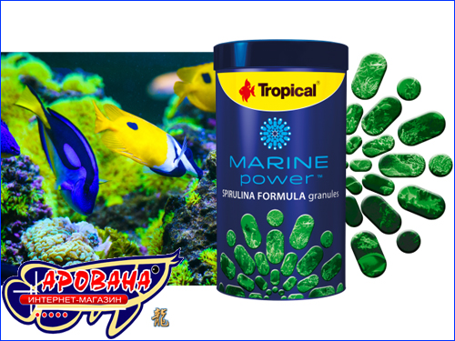Spirulina Formula Spirulina Formula