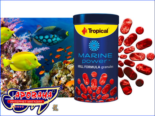 Krill Formula Krill Formula
