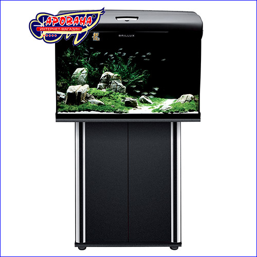     Aquael Brillux 60.